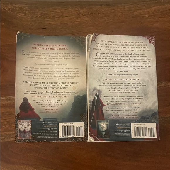 The Shepard King Duology: a Dark Fantasy Book Set by Rachel Gillig - Picture 2 of 14